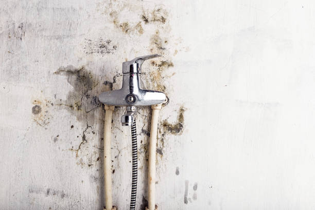 Best Mold Cleaning Services  in Stone Ridge, NY