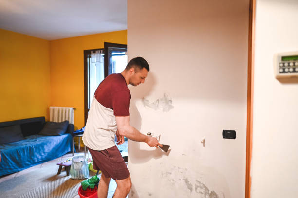 Best Home Mold Removal  in Stone Ridge, NY